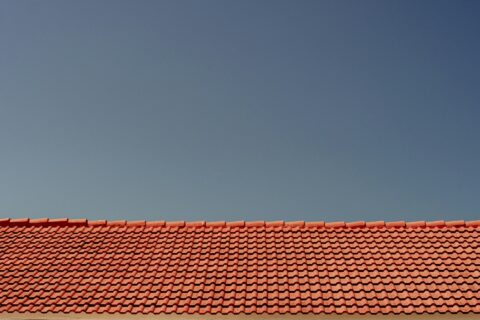 shingle roof problems