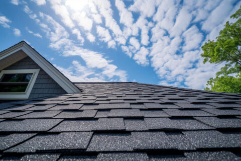 Shingle Roofing