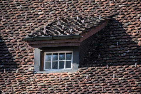 Roof Shingles