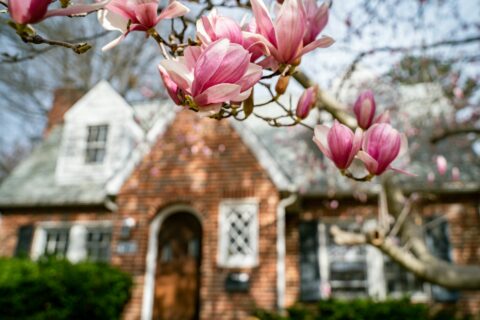 house in spring