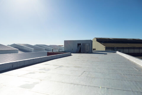 commercial flat roof