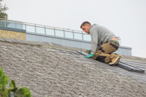 Roof Shingles