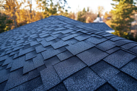 shingle roof
