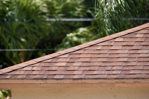 shingle roofing